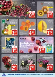 Gazetka promocyjna Edeka - Prospekte - Gazetka - ważna od 07.06 do 07.06.2025 - strona 6 - produkty: balkonpflanzen, blume, Campanula, coupon, dahlie, deka, eis, Elan, nuss, payback, pflanze, pflanzen, reis, rosen, tesa, Ti, ZTE
