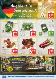 Gazetka promocyjna Edeka - Prospekte - Gazetka - ważna od 07.06 do 07.06.2025 - strona 8 - produkty: auer, Bau, Bauer, beere, beeren, blattspinat, cola, eis, erdbeere, erdbeeren, payback, reis, rel, rhabarber, Romanasalat, rucola, salat, salatherzen, spargel, spinat, tafeläpfel, tee, tesa, Ti, ZTE