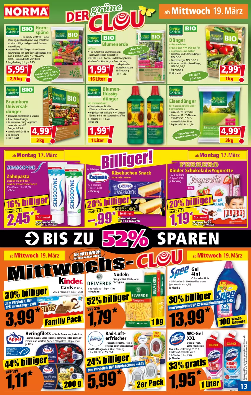 Aktueller Prospekt Norma - Norma - von 17.03 bis 24.03.2025 - strona 13 - produkty: ACC, Bad, balkonpflanzen, beere, beeren, beutel, bio, biozidprodukte, blume, blumen, blumenerde, braun, creme, dünger, eier, eis, elle, erde, filet, filets, flasche, flüssigdünger, früchte, Garten, Gemüsedünger, hering, Käse, käsekuchen, Kinder, kinder schokolade, korn, kraft, kräuter, kuchen, kühlregal, lion, lufterfrischer, lukull, natur, nudel, nudeln, pasta, pflanze, pflanzen, rasen, Rauch, regal, rind, ring, rwe, Salsa, salz, sauce, schoko, schokolade, senf, snack, spaghetti, Spezi, Ti, tomate, tomaten, topf, und gemüse, vanille, wasser, wc-gel, WICK, Yo, yogurette, zahnpasta