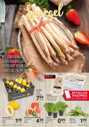 Gazetka promocyjna Selgros - Food - Gazetka - ważna od 04.05 do 04.05.2022 - strona 4 - produkty: eis, honig, honigmelone, kräuter, melone, reis, Schal, Schale, spargel, Ti, topf, wasser, wassermelone