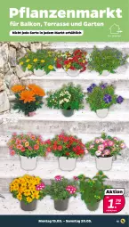 Gazetka promocyjna Netto - Woche 20 - Gazetka - ważna od 20.05 do 20.05.2023 - strona 15 - produkty: Garten, pflanze, pflanzen, Ti