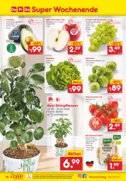 Gazetka promocyjna Netto Marken-Discount - Filial-Angebote - Gazetka - ważna od 05.02 do 05.02.2022 - strona 30 - produkty: asti, avocado, bio, eis, Grünpflanzen, kartoffel, kartoffeln, kopfsalat, LG, ndk, pflanze, pflanzen, Pink Lady, reis, rispentomaten, rosen, Rosenkohl, salat, speisekartoffeln, Ti, tomate, tomaten, trauben, versandkostenfrei