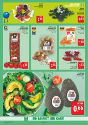Gazetka promocyjna Marktkauf - Prospekt - Gazetka - ważna od 06.12 do 06.12.2025 - strona 11 - produkty: avocado, avocados, braun, champignon, champignons, champignons braun, deka, Kette, LG, lichterkette, mini-rispentomaten, möhren, paprika, paprika rot, rispentomaten, rosen, Spitzpaprika, Ti, tomate, tomaten, topf