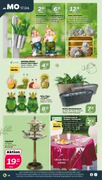 Gazetka promocyjna Netto - Woche 16 - Gazetka - ważna od 22.04 do 22.04.2023 - strona 14 - produkty: auer, Bad, blume, blumen, decke, erde, Frosch, Garten, pflanze, pflanzen, schnitten, Ti, tisch, tischdecke, topf, ZTE