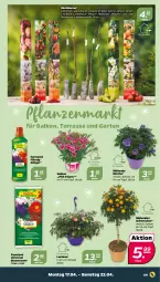 Gazetka promocyjna Netto - Woche 16 - Gazetka - ważna od 22.04 do 22.04.2023 - strona 9 - produkty: blume, blumen, blumenerde, dünger, elle, erde, flüssigdünger, Garten, obst, pfirsich, pflanze, pflanzen, pflaume, rel, Ti, topf
