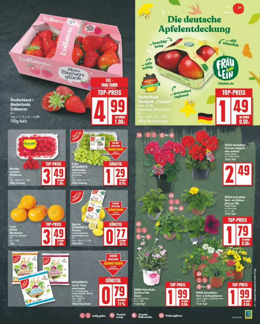 Aktueller Prospekt Edeka - Prospekte - von 29.04 bis 04.05.2024 - strona 3 - produkty: apfel, deka, eis, elle, korb, Liege, reis, Ti, top-preis