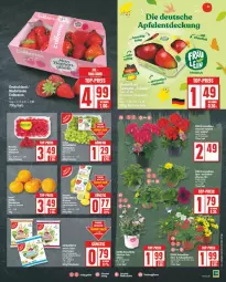 Gazetka promocyjna Edeka - Prospekte - Gazetka - ważna od 04.05 do 04.05.2024 - strona 3 - produkty: apfel, deka, eis, elle, korb, Liege, reis, Ti, top-preis