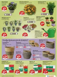 Gazetka promocyjna Vmarkt - Prospekte - Gazetka - ważna od 03.09 do 03.09.2025 - strona 13 - produkty: angebot, angebote, auer, auto, Bau, beere, beeren, brause, buch, decke, Deckel, dell, Garten, Gießkanne, im 9-cm-topf, Kalanchoe, Kinder, korb, LG, Mode, Spezi, Ti, topf