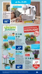 Gazetka promocyjna AldiSud - IN ZWEI WOCHEN - Gazetka - ważna od 23.09 do 23.09.2023 - strona 15 - produkty: aldi, alle artikel ohne dekoration, auer, batterie, batterien, Blüte, dekoration, dell, eis, elle, gin, Holz, kulturtopf, leine, Mode, Nähmaschine, orchidee, pflanze, pflanzen, phalaenopsis, reis, rwe, Ti, topf, ZTE