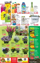 Gazetka promocyjna Jawoll - Prospekte - Gazetka - ważna od 07.08 do 07.08.2022 - strona 4 - produkty: angebot, Astra, ball, Behälter, blume, blumen, blumenerde, burger, eis, eistee, elle, Engel, erde, freixenet, frucht, fruchtsaft, Garten, HP, Kalanchoe, LG, lumix, pfanne, Pfanner, pflanze, pflanzen, pflanzerde, pils, rind, sac, saft, sekt, tee, Ti, topf, volvic