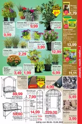 Gazetka promocyjna Jawoll - Prospekte - Gazetka - ważna od 07.08 do 07.08.2022 - strona 5 - produkty: Bank, blume, blumen, blumenerde, chia, chrysanthemen, dünger, eimer, eis, erde, Garten, gartenbank, Heu, kirsch, Kraut, Kugel, LG, longlife, mac, pavillon, pflanze, pflanzen, rasen, rasendünger, Rauch, reis, rind, ritter, rosen, Rowi, sac, sim, stauden, Ti, topf