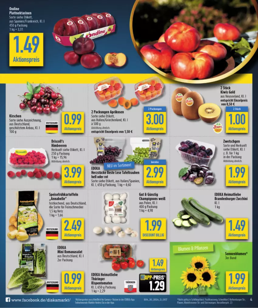 Aktueller Prospekt Diska - von 22.07 bis 27.07.2024 - strona 6 - produkty: aktionspreis, aprikose, aprikosen, Bau, beere, beeren, burger, champignon, champignons, deka, discount, eis, Elan, elle, feinschmecker, Frühkartoffeln, himbeer, himbeere, himbeeren, kartoffel, kartoffeln, kirsch, kirsche, kirschen, kiwi, Nektar, nektarinen, reis, ring, rispentomaten, Romanasalat, salat, speisefrühkartoffeln, tafeltrauben, Ti, tomate, tomaten, trauben, ZTE, zucchini