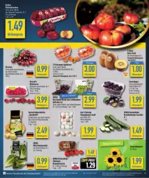 Gazetka promocyjna Diska - Gazetka - ważna od 27.07 do 27.07.2024 - strona 6 - produkty: aktionspreis, aprikose, aprikosen, Bau, beere, beeren, burger, champignon, champignons, deka, discount, eis, Elan, elle, feinschmecker, Frühkartoffeln, himbeer, himbeere, himbeeren, kartoffel, kartoffeln, kirsch, kirsche, kirschen, kiwi, Nektar, nektarinen, reis, ring, rispentomaten, Romanasalat, salat, speisefrühkartoffeln, tafeltrauben, Ti, tomate, tomaten, trauben, ZTE, zucchini