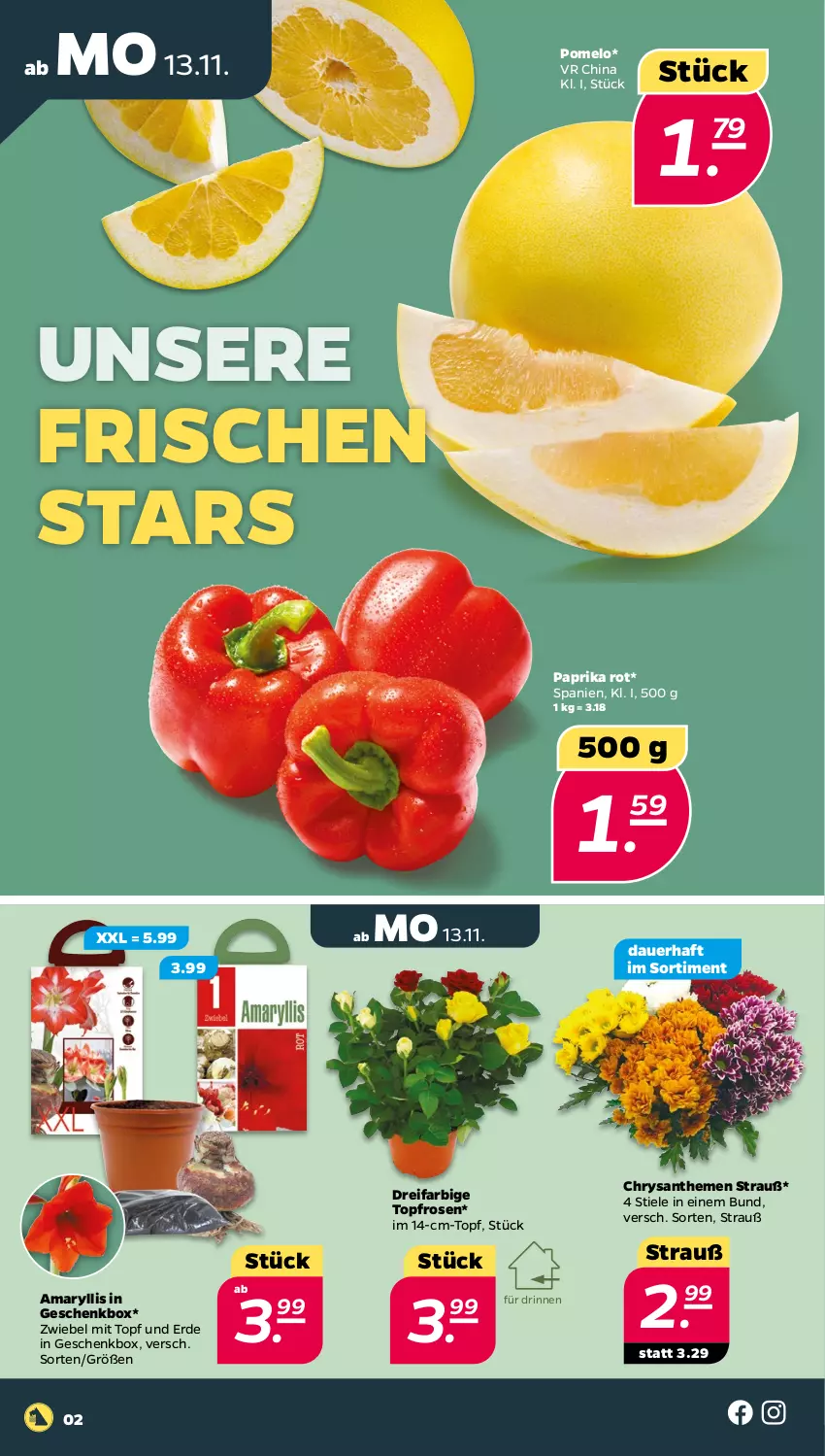 Aktueller Prospekt Netto - Woche 46 - von 13.11 bis 18.11.2023 - strona 2 - produkty: auer, chrysanthemen, erde, Geschenkbox, paprika, paprika rot, Pomelo, rosen, Ti, topf, zwiebel