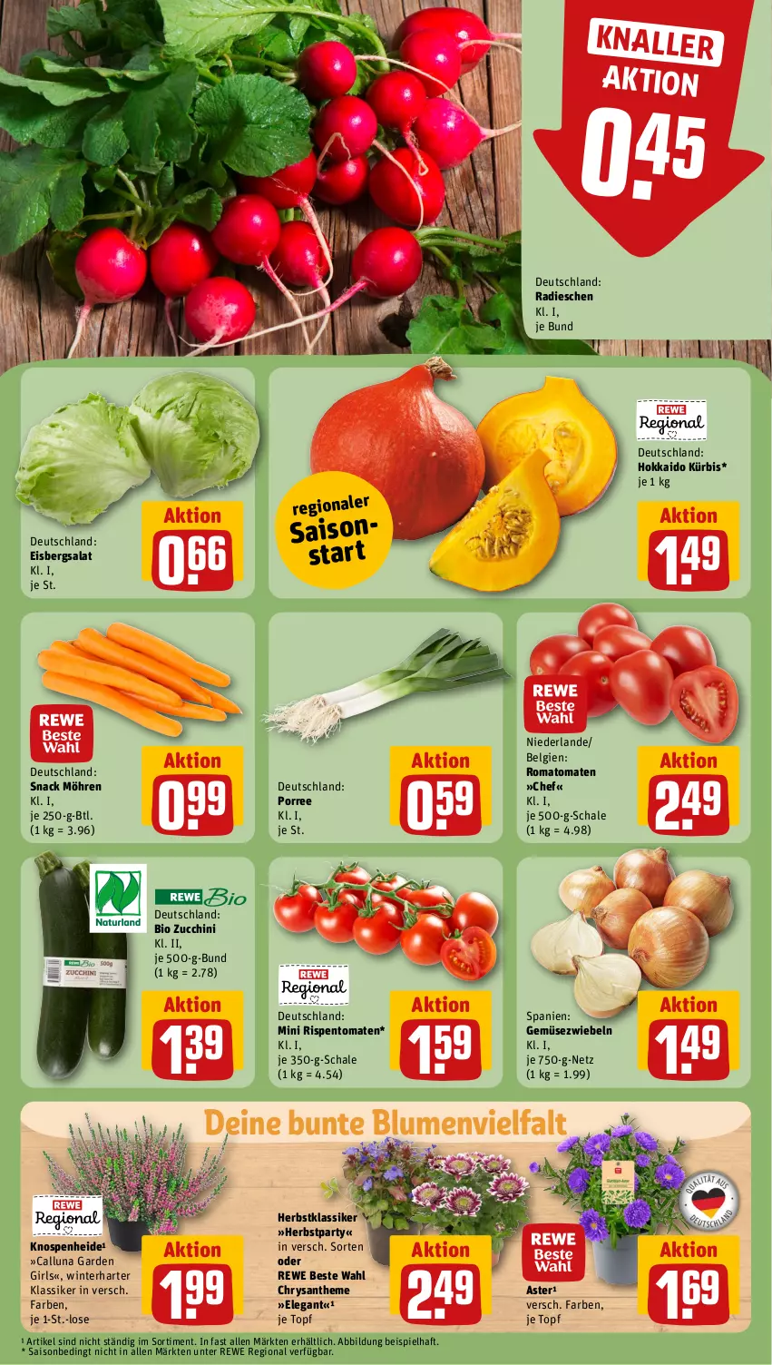 Aktueller Prospekt Rewe - Prospekte - von 26.08 bis 31.08.2024 - strona 7 - produkty: bio, blume, blumen, eis, eisbergsalat, Gemüsezwiebel, Kürbis, LG, möhren, radieschen, rewe beste wahl, rispentomaten, Romatomaten, salat, Schal, Schale, snack, Ti, tomate, tomaten, topf, zucchini, zwiebel, zwiebeln