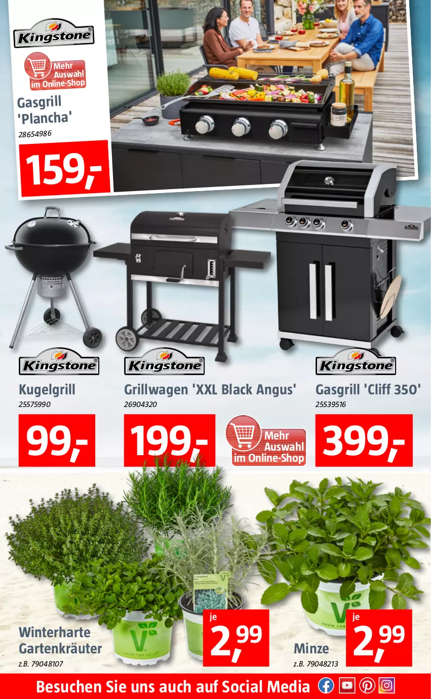 Aktueller Prospekt Bauhaus - Prospekte - von 15.06 bis 26.06.2022 - strona 3 - produkty: Garten, gasgrill, grill, kräuter, Kugel, kugelgrill, lack, LG, minze