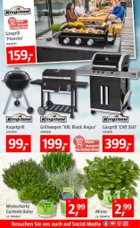 Gazetka promocyjna Bauhaus - Prospekte - Gazetka - ważna od 26.06 do 26.06.2022 - strona 3 - produkty: Garten, gasgrill, grill, kräuter, Kugel, kugelgrill, lack, LG, minze