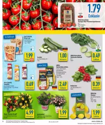 Gazetka promocyjna Diska - Prospekte - Gazetka - ważna od 02.07 do 02.07.2022 - strona 5 - produkty: aktionspreis, bio, burger, deka, edeka bio, eis, fisch, flasche, Frühkartoffeln, Garten, gartennelke, kartoffel, kartoffeln, kohlrabi, pflaume, pflaumen, radieschen, reis, Ria, ring, rispentomaten, rosen, smoothie, speisefrühkartoffeln, Ti, tiefpreis, tomate, tomaten, topf, wrap, ZTE, zucchini