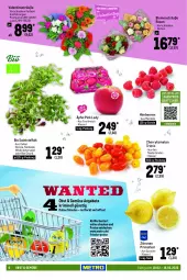 Gazetka promocyjna Metro - Food - Gazetka - ważna od 16.02 do 16.02.2022 - strona 6 - produkty: angebot, angebote, beere, beeren, bio, blume, blumen, cherrytomaten, cola, decke, eis, elle, feldsalat, himbeer, himbeere, himbeeren, kräuter, Metro, obst, Pink Lady, reis, rosen, rucola, salat, Schal, Schale, Ti, tomate, tomaten, Wild, zitrone, zitronen