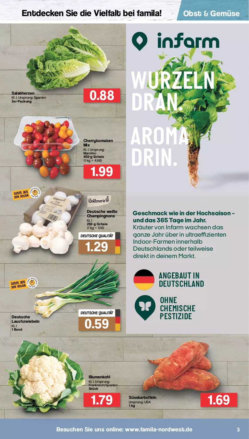 Aktueller Prospekt Famila - Prospekte - von 04.04 bis 09.04.2022 - strona 3 - produkty: Bau, blume, blumen, blumenkohl, cherrytomaten, decke, eis, ente, kartoffel, kartoffeln, kräuter, Lauchzwiebel, lauchzwiebeln, mac, obst, salat, salatherzen, Schal, Schale, Ti, tomate, tomaten, zwiebel, zwiebeln