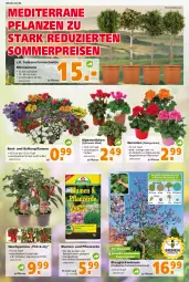 Gazetka promocyjna - Prospekt für Globus Baumarkt Achern - Gazetka - ważna od 18.06 do 18.06.2022 - strona 3 - produkty: Alpenveilchen, balkonpflanzen, Bau, beetpflanzen, beispielabbildung, blume, blumen, Blüte, chili, Container, eis, erde, Garten, geranie, geranien, mentos, orange, paprika, Pelargonium, pflanze, pflanzen, pflanzerde, Pflanztopf, reis, sac, SANTE, Ti, tomate, tomaten, topf