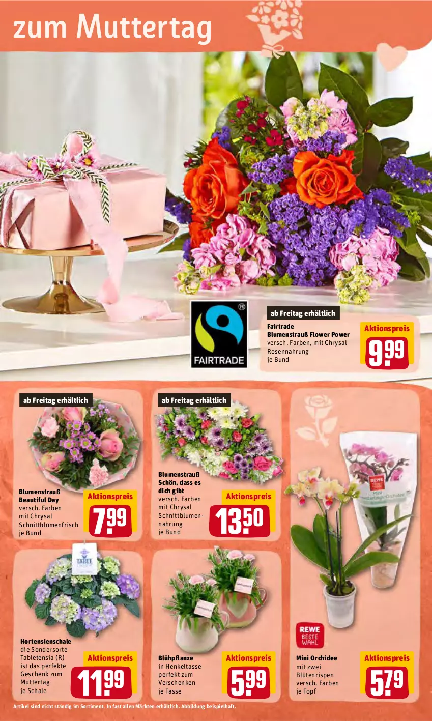 Aktueller Prospekt Rewe - Prospekte - von 02.05 bis 08.05.2022 - strona 15 - produkty: aktionspreis, blume, blumen, Blumenstrauß, Blüte, eis, henkel, hortensie, hortensien, HP, orchidee, pflanze, reis, rosen, Schal, Schale, tablet, tasse, Ti, topf