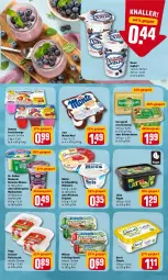 Gazetka promocyjna Rewe - Prospekte - Gazetka - ważna od 08.05 do 08.05.2022 - strona 9 - produkty: aktionspreis, auer, Bau, Bauer, becel, beere, bourbon, bourbonvanille, butter, danone, danone fruchtzwerge, Dr. Oetker, eis, ente, fleisch, fleischsalat, frucht, fruchtzwerge, gin, götterspeise, Grießpudding, himbeer, himbeere, irische butter, joghur, joghurt, kerrygold, kräuter, kräuterbutter, lätta, Meister, milch, milchreis, milram, monte, mousse, Müller, oder kräuter, Popp, pudding, quark, reis, rotwein, salat, Soße, Ti, vanille, waldmeister, wein, zott, Zott Monte