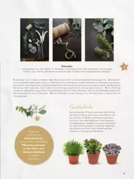 Gazetka promocyjna Kaufland - Gazetka - ważna od 08.01 do 08.01.2023 - strona 13 - produkty: Abtei, Bau, baumwolle, binden, decke, Diesel, Draht, eis, elle, ente, erde, Heißklebepistole, Holz, Kaktee, LG, mac, obst, pflanze, pflanzen, reis, Ria, ring, Schere, Seitenschneide, Soda, Sukkulente, tee, Ti, und gemüse, wasser, WICK, wolle