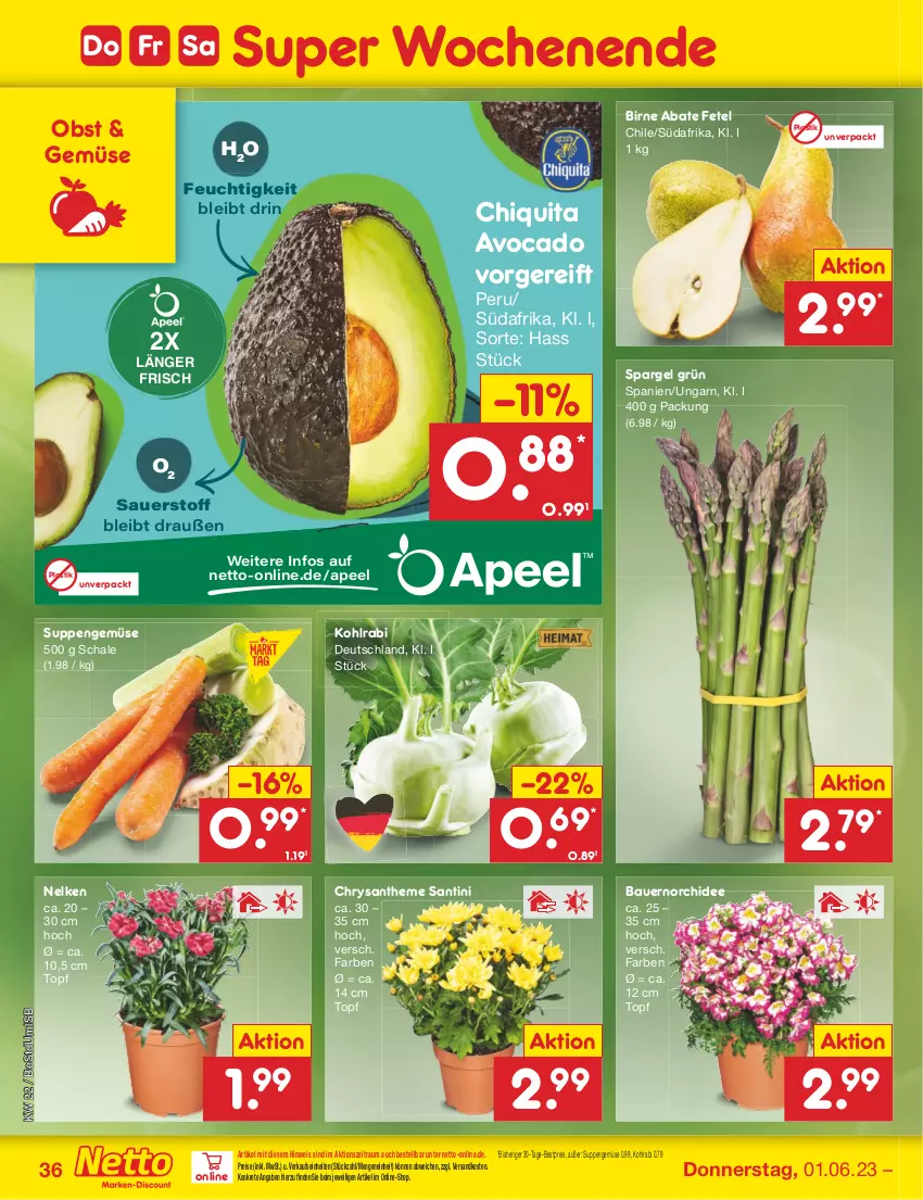 Aktueller Prospekt Netto Marken-Discount - Filial-Angebote - von 30.05 bis 03.06.2023 - strona 36 - produkty: asti, auer, avocado, Bau, Bauer, bestpreis, chiquita, eis, kohlrabi, ndk, obst, orchidee, reis, Schal, Schale, spargel, spargel grün, suppe, suppen, Ti, topf