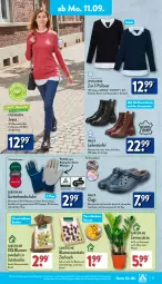 Gazetka promocyjna Aldi Nord - Von Montag - Gazetka - ważna od 16.09 do 16.09.2023 - strona 15 - produkty: Bau, baumwolle, beutel, bio, blume, blumen, Blüte, Brei, Clogs, ecovero, eintopf, Garten, Germ, gin, handschuhe, jeans, kleid, kulturtopf, lenzing, Mett, pflanze, pflanzen, Pullover, reine baumwolle, Ria, Schmetterling, schuhe, Tasche, Ti, topf, Topfen, up2fashion, walkx, wolle, ZTE, zwiebel, zwiebeln