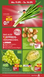 Gazetka promocyjna Aldi Nord - Von Montag - Gazetka - ważna od 16.09 do 16.09.2023 - strona 3 - produkty: aldi, angebot, bio, braun, champignon, champignons, champignons braun, eis, Lauchzwiebel, lauchzwiebeln, reis, Schal, Schale, spitzkohl, tafeltrauben, Ti, trauben, trolli, ZTE, zwiebel, zwiebeln