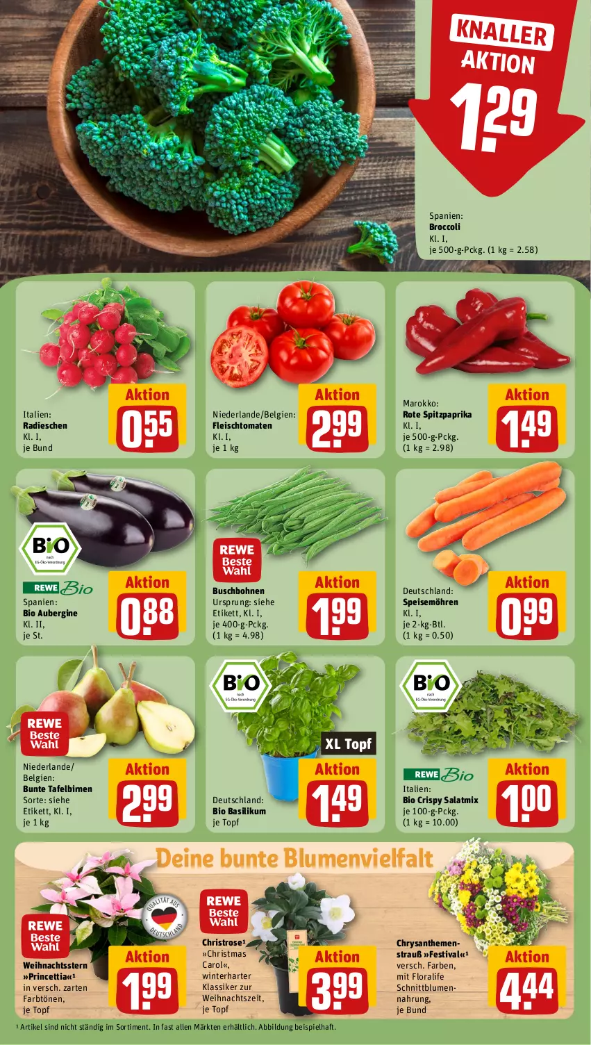 Aktueller Prospekt Rewe - Prospekte - von 11.11 bis 16.11.2024 - strona 7 - produkty: aubergine, basilikum, bio, Birnen, blume, blumen, bohne, bohnen, broccoli, Buschbohnen, chrysanthemen, eis, fleisch, gin, LG, möhren, paprika, radieschen, salat, Salatmix, speisemöhren, Spitzpaprika, tafelbirnen, Ti, tomate, tomaten, topf, Weihnachtsstern