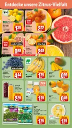 Gazetka promocyjna Rewe - Prospekte - Gazetka - ważna od 16.11 do 16.11.2024 - strona 6 - produkty: ananas, banane, bananen, beere, beeren, bio, clementinen, decke, florette, früchte, grapefruit, heidelbeere, heidelbeeren, Kaki, mango, orange, orangen, salat, Schal, Schale, sim, simba, smoothie, sweet ananas, Ti, true fruits, zitrone, zitronen