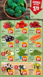 Gazetka promocyjna Rewe - Prospekte - Gazetka - ważna od 16.11 do 16.11.2024 - strona 7 - produkty: aubergine, basilikum, bio, Birnen, blume, blumen, bohne, bohnen, broccoli, Buschbohnen, chrysanthemen, eis, fleisch, gin, LG, möhren, paprika, radieschen, salat, Salatmix, speisemöhren, Spitzpaprika, tafelbirnen, Ti, tomate, tomaten, topf, Weihnachtsstern