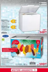 Gazetka promocyjna Selgros - Non Food - Gazetka - ważna od 15.05 do 15.05.2024 - strona 9 - produkty: angebot, angebote, Behälter, creme, decke, Deckel, eis, eiscreme, Leuchte, LG, paneel, thermostat, Ti