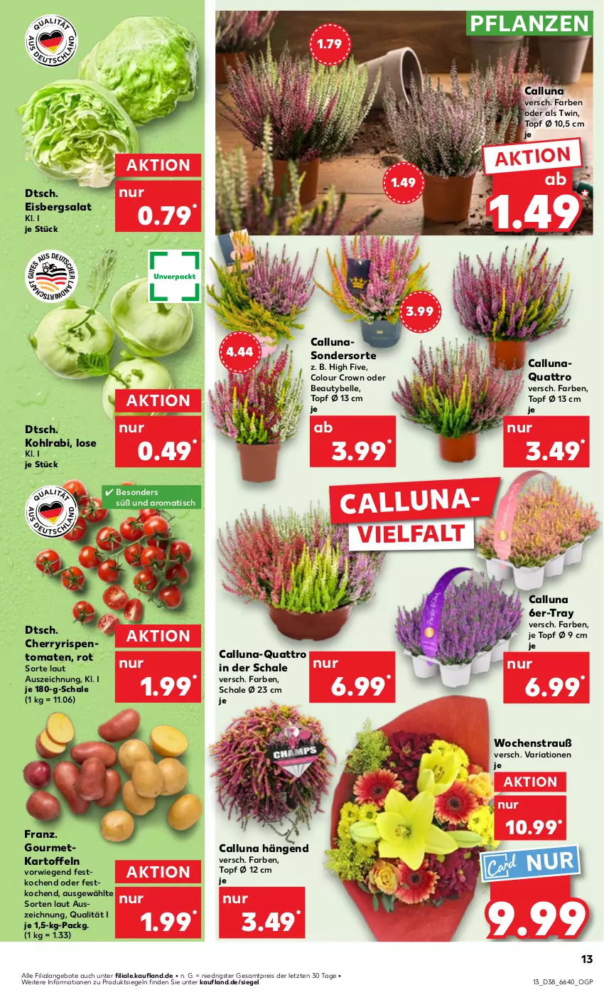 Aktueller Prospekt Kaufland - Prospekt - von 19.09 bis 25.09.2024 - strona 13 - produkty: angebot, angebote, aqua, eis, eisbergsalat, elle, kartoffel, kartoffeln, kohlrabi, pflanze, pflanzen, reis, Ria, salat, Schal, Schale, Ti, tisch, tomate, tomaten, topf, topf ø 12 cm, ZTE