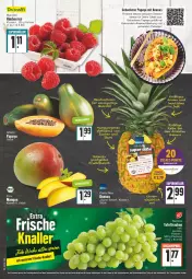 Gazetka promocyjna E Center - Angebote der Woche - Gazetka - ważna od 21.01 do 21.01.2023 - strona 4 - produkty: ananas, angebot, angebote, Bau, beere, beeren, bier, Biere, dessert, erde, geback, himbeer, himbeere, himbeeren, kokos, kokosmilch, LG, mango, mangos, milch, Papaya, pistazien, Schal, Schale