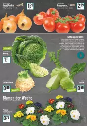 Gazetka promocyjna E Center - Angebote der Woche - Gazetka - ważna od 21.01 do 21.01.2023 - strona 7 - produkty: angebot, bio, bioland, blume, blumen, Blüte, brokkoli, kohlrabi, Primeln, rispentomaten, Schal, Schale, tomate, tomaten, topf, Weißkohl, Wild, zwiebel, zwiebeln