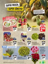 Gazetka promocyjna Edeka - Angebote der Woche - Gazetka - ważna od 23.09 do 23.09.2023 - strona 7 - produkty: angebot, angebote, Bau, Birnen, blume, blumen, cocktail, dressing, eis, Garten, Germ, joghur, joghurt, Kraussalat, kühlschrank, mac, nuss, reis, rispentomaten, rosen, Rosenstrauß, salat, Schal, Schale, Schrank, snack, super-knüller, Ti, tomate, tomaten, topf, ZTE