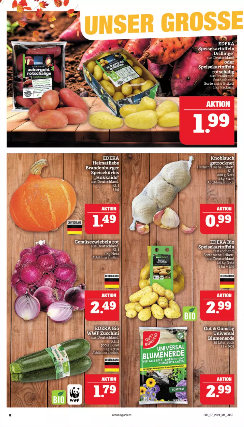 Aktueller Prospekt Marktkauf - Prospekt - von 08.09 bis 14.09.2024 - strona 12 - produkty: ackergold, Bau, bio, burger, deka, edeka bio, eis, ente, Gemüsezwiebel, kartoffel, kartoffeln, knoblauch, Kürbis, sac, speisekartoffeln, Ti, Yo, zwiebel, zwiebeln