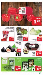 Gazetka promocyjna Marktkauf - Prospekt - Gazetka - ważna od 14.09 do 14.09.2024 - strona 11 - produkty: aktionspreis, avocado, avocados, ball, Becher, bio, braun, champignon, champignons, deka, edeka bio, eis, Elan, Feigen, LG, nuss, pflaume, pflaumen, reis, salat, spitzkohl, Ti, tomate, tomaten