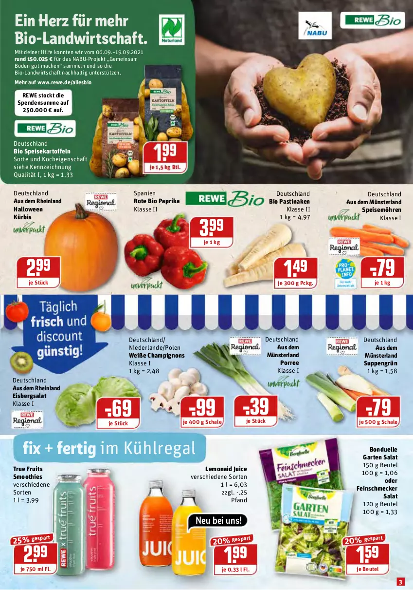 Aktueller Prospekt Rewe - Prospekte - von 11.10 bis 17.10.2021 - strona 3