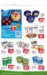 Gazetka promocyjna Wasgau - Prospekte - Gazetka - ważna od 08.01 do 08.01.2022 - strona 12 - produkty: alpro, Becher, danone, danone fruchtzwerge, dessert, dip, drink, eis, feinjoghurt, frucht, fruchtzwerge, joghur, joghurt, joghurt mild, kiri, korn, leine, milch, milchreis, monte, mövenpick, Müller, ndk, pudding, quark, reis, sahne, schmand, schoko, Skyr, soja, speisequark, Ti, topf, Topfen, weihenstephan, würfel, zott, Zott Monte