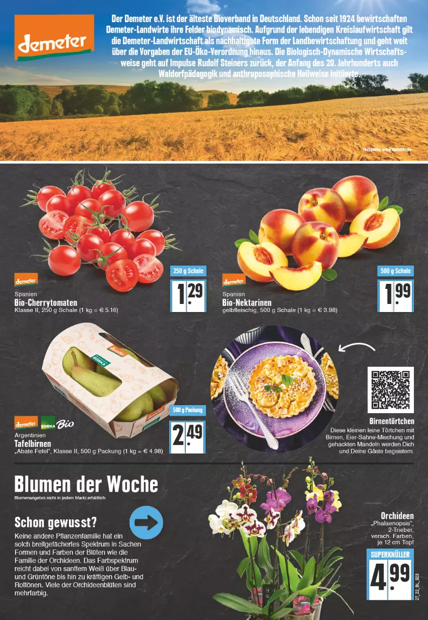 Aktueller Prospekt Edeka - Angebote der Woche - von 04.07 bis 09.07.2022 - strona 3 - produkty: angebot, bio, Birnen, blume, blumen, Blüte, Brei, cherrytomaten, eier, eis, elle, erde, fleisch, leine, mandel, mandeln, Nektar, nektarinen, orchidee, orchideen, pflanze, pflanzen, phalaenopsis, rum, sac, sahne, Schal, Schale, Spektrum, tafelbirnen, Ti, tomate, tomaten, topf, Törtchen