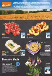 Gazetka promocyjna Edeka - Angebote der Woche - Gazetka - ważna od 09.07 do 09.07.2022 - strona 3 - produkty: angebot, bio, Birnen, blume, blumen, Blüte, Brei, cherrytomaten, eier, eis, elle, erde, fleisch, leine, mandel, mandeln, Nektar, nektarinen, orchidee, orchideen, pflanze, pflanzen, phalaenopsis, rum, sac, sahne, Schal, Schale, Spektrum, tafelbirnen, Ti, tomate, tomaten, topf, Törtchen