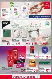 Gazetka promocyjna Selgros - Food - Gazetka - ważna od 19.02 do 19.02.2025 - strona 23 - produkty: creme, Dr. Best, elvital, erde, gillette, Läufer, nivea, olive, palmolive, Rasierklinge, rasierklingen, rel, sagrotan, Serviette, servietten, shampoo, shampoo oder spülung, spülung, Ti, tisch, tischläufer, tuc, vita