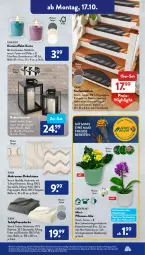 Gazetka promocyjna AldiSud - NÄCHSTE WOCHE - Gazetka - ważna od 22.10 do 22.10.2022 - strona 15 - produkty: alle artikel ohne dekoration, auer, Bau, baumwolle, casa deco, decke, dekokissen, dekoration, dell, eis, elle, ente, fleecedecke, gardenline®, gin, Holz, Kalanchoe, Kamin, kerze, kissen, laterne, Mett, Mode, orchidee, pflanze, pflanzen, reifen, reis, Schmetterling, schmetterlingsorchidee, Stufenmatten, Ti, Tiere, topf, übertopf, wolle, ZTE