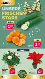 Gazetka promocyjna Netto - Woche 50 - Gazetka - ważna od 16.12 do 16.12.2023 - strona 2 - produkty: clementinen, gurke, rosen, Ti, topf, Weihnachtsstern