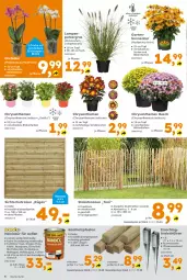 Gazetka promocyjna  - Gazetka - ważna od 15.08 do 15.08.2026 - strona 6 - produkty: Bau, Blüte, chrysanthemen, Draht, eis, Garten, haselnuss, Holz, holzlasur, Lampe, LG, nuss, orchidee, phalaenopsis, reis, staketenzaun, Ti, topf