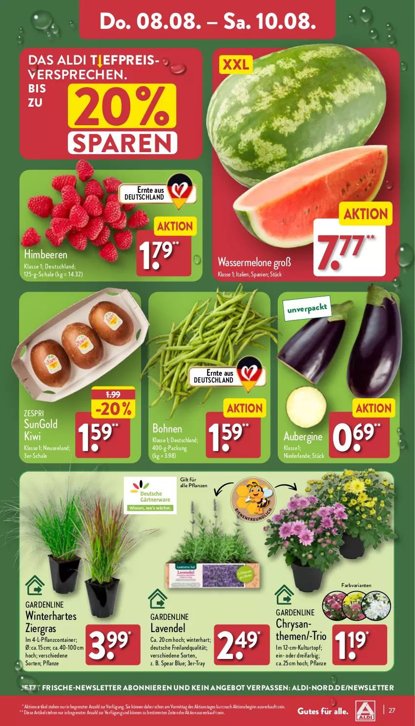 Aktueller Prospekt Aldi Nord - Von Montag - von 05.08 bis 10.08.2024 - strona 27 - produkty: aldi, angebot, aubergine, beere, beeren, Blüte, bohne, bohnen, Brei, Container, eis, Elan, gin, himbeer, himbeere, himbeeren, kiwi, kulturtopf, lavendel, melone, pflanze, pflanzen, reis, Ria, Schal, Schale, Ti, topf, wasser, wassermelone, zespri, ZTE